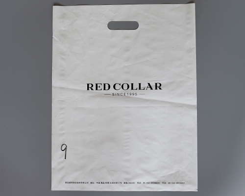 友诚 手提袋.jpg